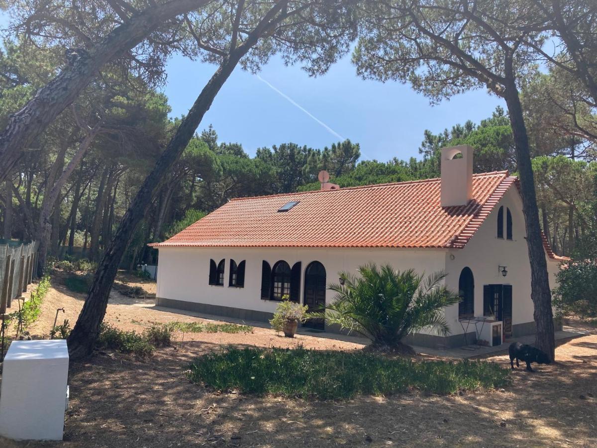 Moradia No Pinhal Com Piscina - Espaco E Privacidade Para As Suas Ferias! Sintra Exterior photo